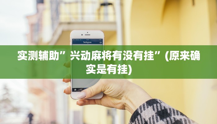 实测辅助”兴动麻将有没有挂”(原来确实是有挂)