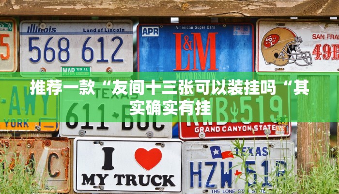 推荐一款“友间十三张可以装挂吗“其实确实有挂