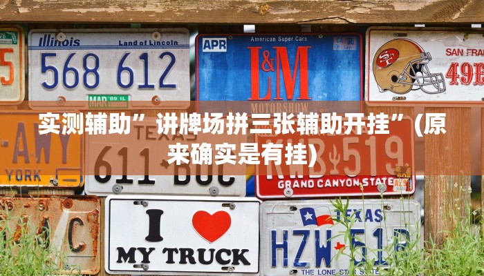 实测辅助”讲牌场拼三张辅助开挂”(原来确实是有挂)