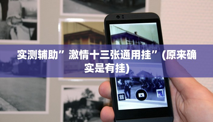 实测辅助”激情十三张通用挂”(原来确实是有挂)