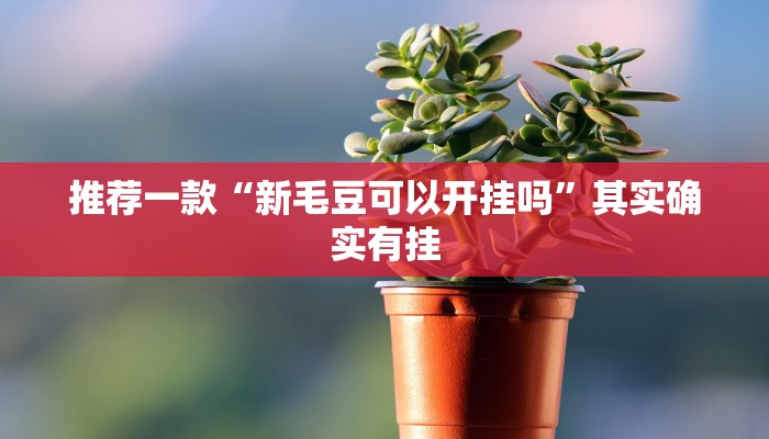 推荐一款“新毛豆可以开挂吗”其实确实有挂