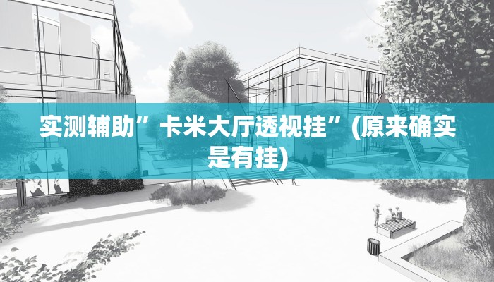 实测辅助”卡米大厅透视挂”(原来确实是有挂)
