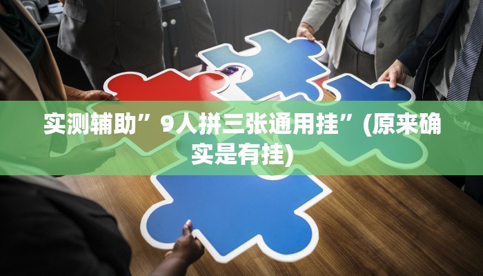 实测辅助”9人拼三张通用挂”(原来确实是有挂)