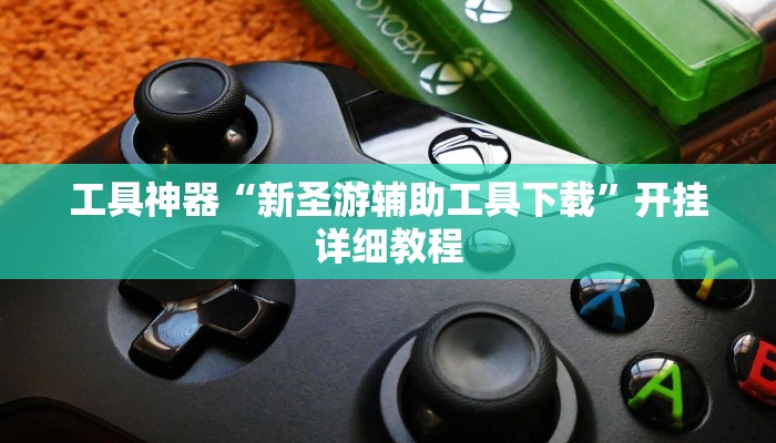 工具神器“新圣游辅助工具下载”开挂详细教程