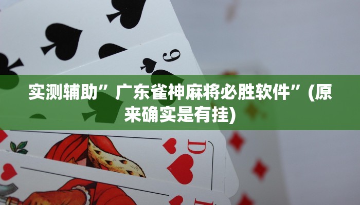 实测辅助”广东雀神麻将必胜软件”(原来确实是有挂)