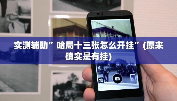 实测辅助”哈局十三张怎么开挂”(原来确实是有挂)