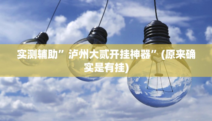 实测辅助”泸州大贰开挂神器”(原来确实是有挂)