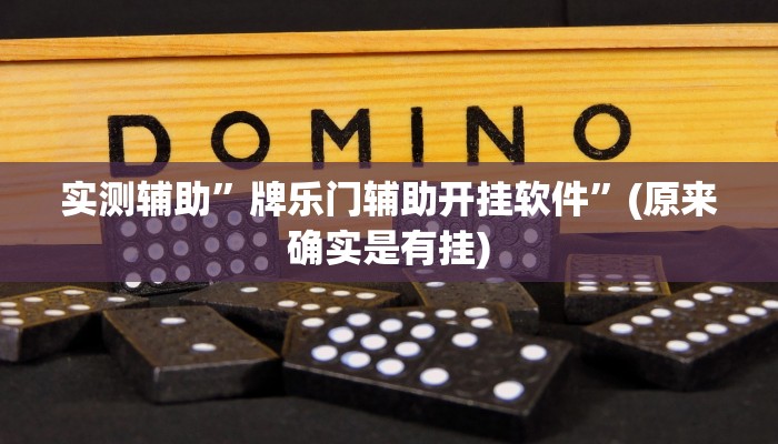 实测辅助”牌乐门辅助开挂软件”(原来确实是有挂)