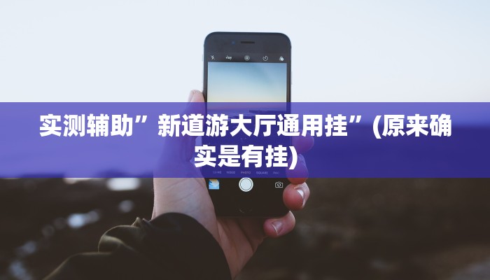 实测辅助”新道游大厅通用挂”(原来确实是有挂)