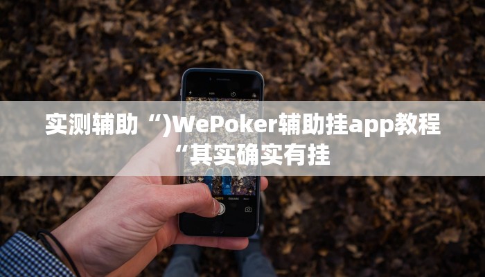 实测辅助“)WePoker辅助挂app教程“其实确实有挂