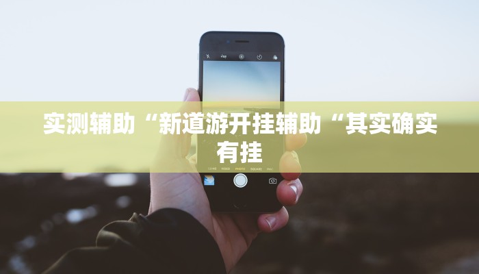 实测辅助“新道游开挂辅助“其实确实有挂