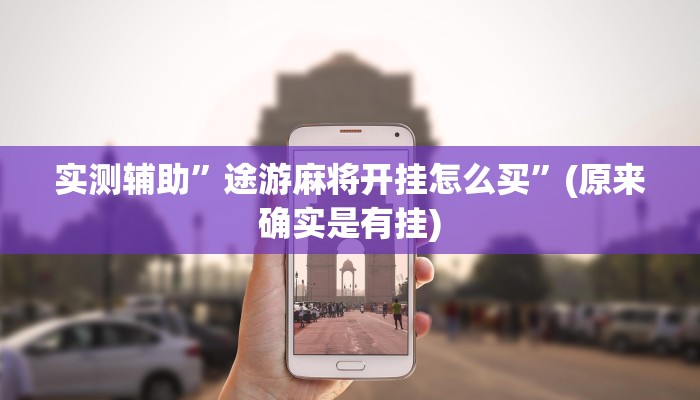 实测辅助”途游麻将开挂怎么买”(原来确实是有挂)