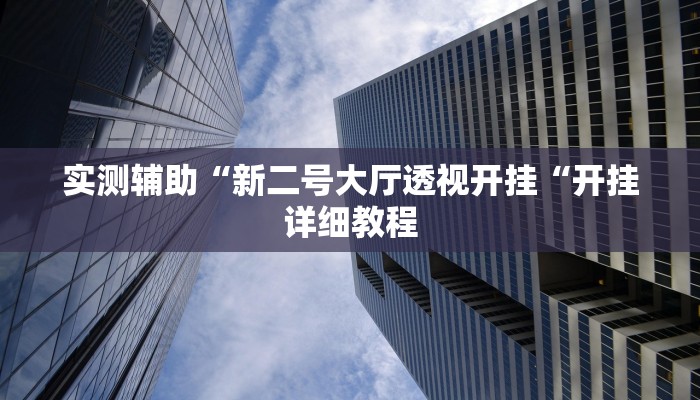 实测辅助“新二号大厅透视开挂“开挂详细教程