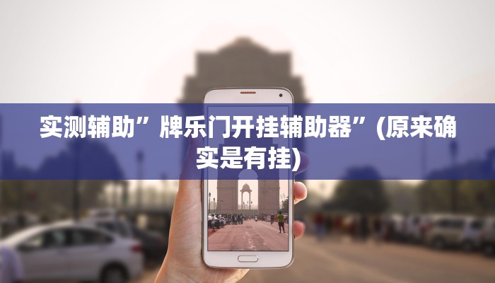 实测辅助”牌乐门开挂辅助器”(原来确实是有挂)