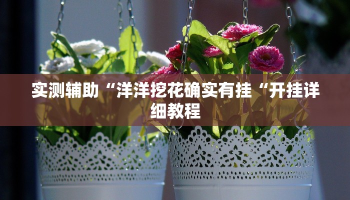 实测辅助“洋洋挖花确实有挂“开挂详细教程