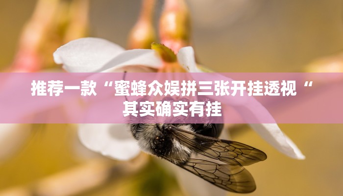 推荐一款“蜜蜂众娱拼三张开挂透视“其实确实有挂