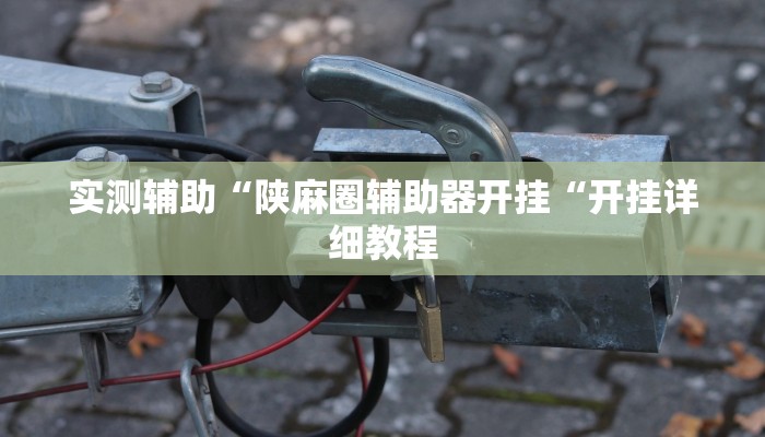 实测辅助“陕麻圈辅助器开挂“开挂详细教程