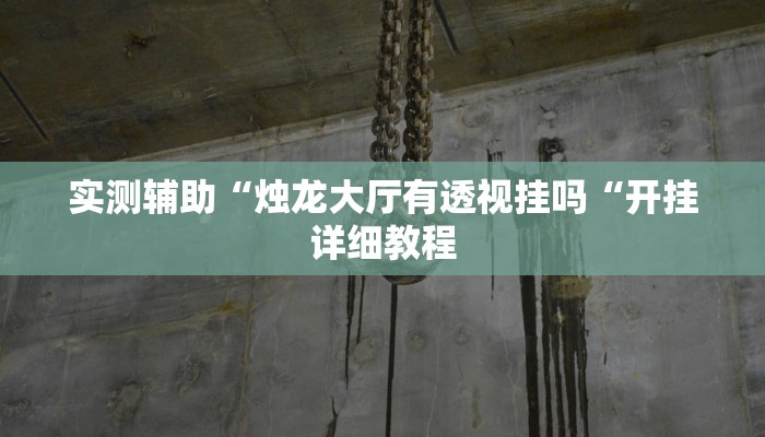 实测辅助“烛龙大厅有透视挂吗“开挂详细教程