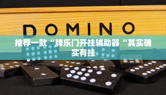 推荐一款“牌乐门开挂辅助器“其实确实有挂