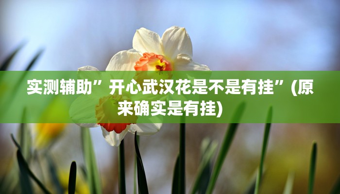 实测辅助”开心武汉花是不是有挂”(原来确实是有挂)