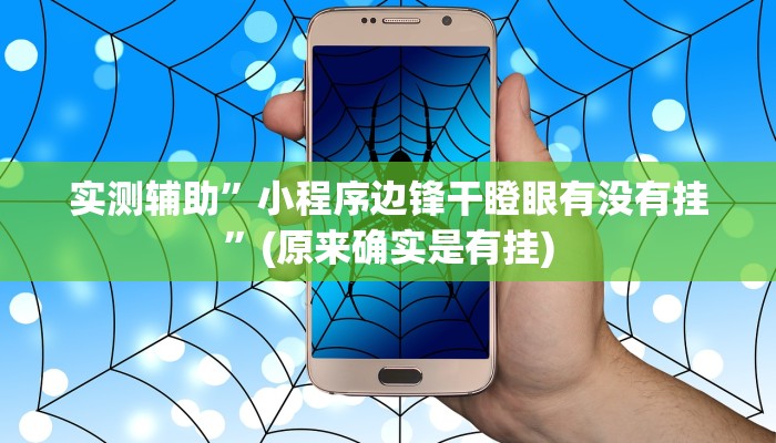 实测辅助”小程序边锋干瞪眼有没有挂”(原来确实是有挂)