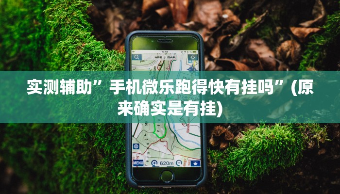 实测辅助”手机微乐跑得快有挂吗”(原来确实是有挂)