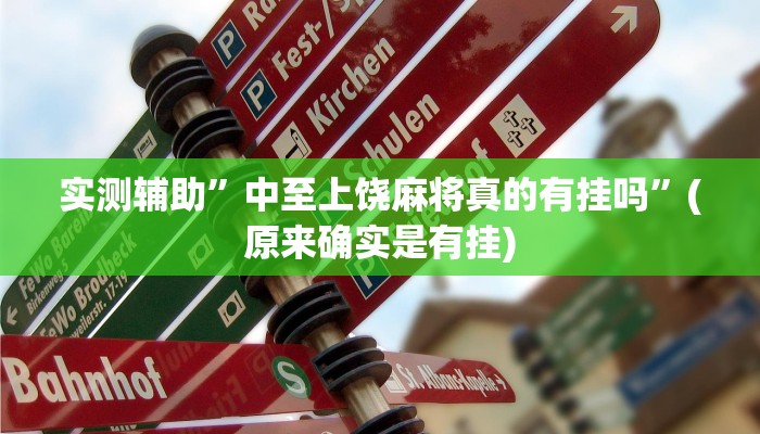 实测辅助”中至上饶麻将真的有挂吗”(原来确实是有挂)