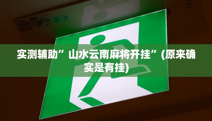 实测辅助”山水云南麻将开挂”(原来确实是有挂)