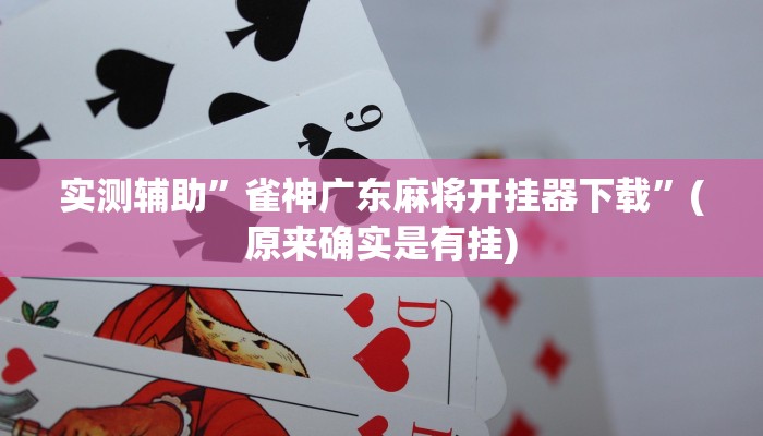 实测辅助”雀神广东麻将开挂器下载”(原来确实是有挂)
