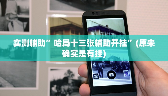 实测辅助”哈局十三张辅助开挂”(原来确实是有挂)
