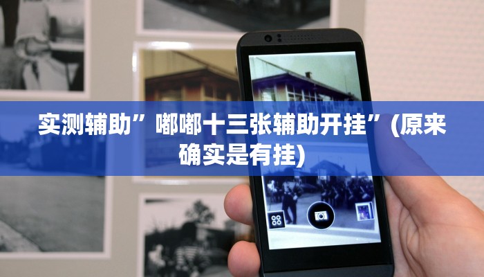 实测辅助”嘟嘟十三张辅助开挂”(原来确实是有挂)
