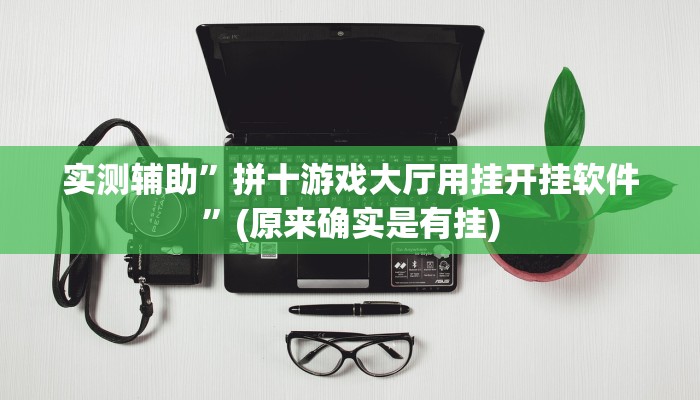 实测辅助”拼十游戏大厅用挂开挂软件”(原来确实是有挂)