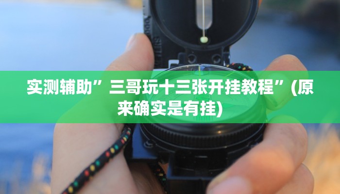 实测辅助”三哥玩十三张开挂教程”(原来确实是有挂)
