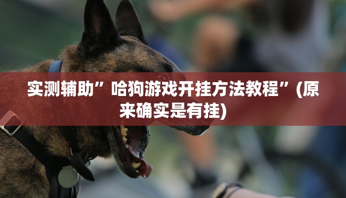 实测辅助”哈狗游戏开挂方法教程”(原来确实是有挂)