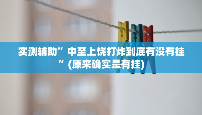 实测辅助”中至上饶打炸到底有没有挂”(原来确实是有挂)