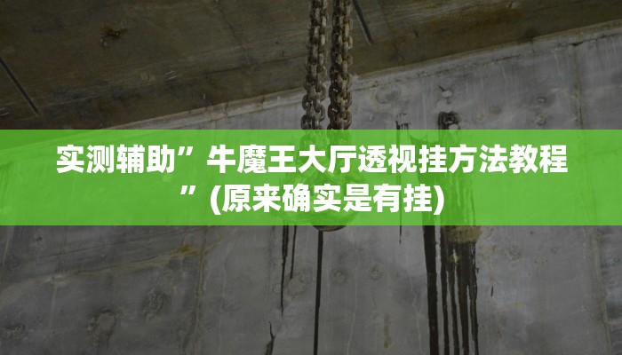 实测辅助”牛魔王大厅透视挂方法教程”(原来确实是有挂)