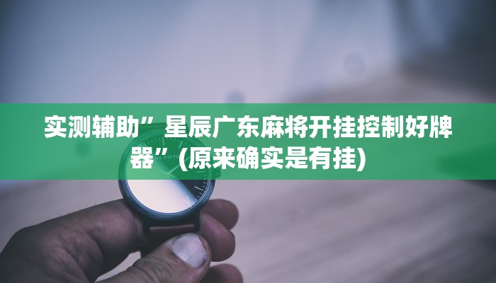 实测辅助”星辰广东麻将开挂控制好牌器”(原来确实是有挂)