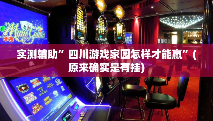 实测辅助”四川游戏家园怎样才能赢”(原来确实是有挂)