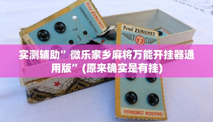 实测辅助”微乐家乡麻将万能开挂器通用版”(原来确实是有挂)
