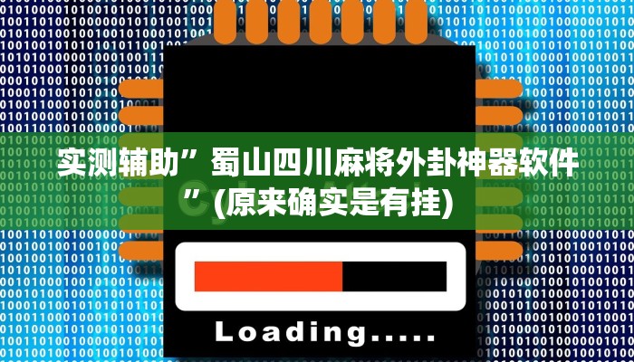 实测辅助”蜀山四川麻将外卦神器软件”(原来确实是有挂)