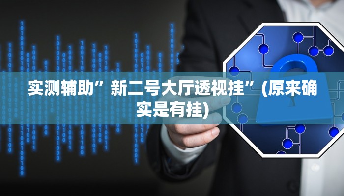 实测辅助”新二号大厅透视挂”(原来确实是有挂)