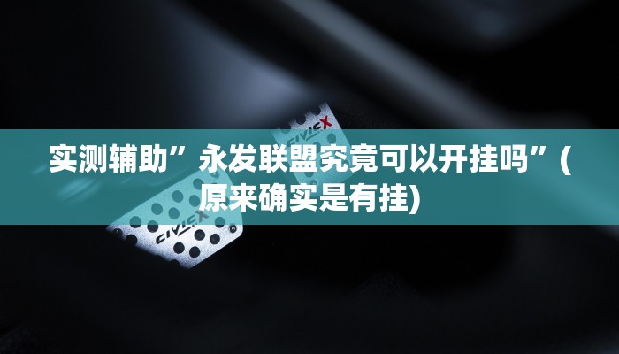 实测辅助”永发联盟究竟可以开挂吗”(原来确实是有挂)
