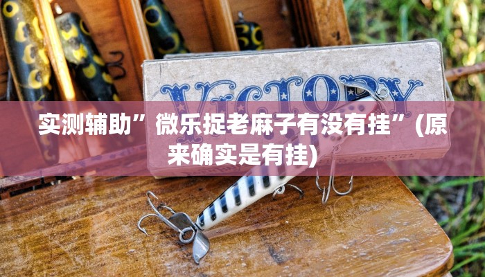 实测辅助”微乐捉老麻子有没有挂”(原来确实是有挂)