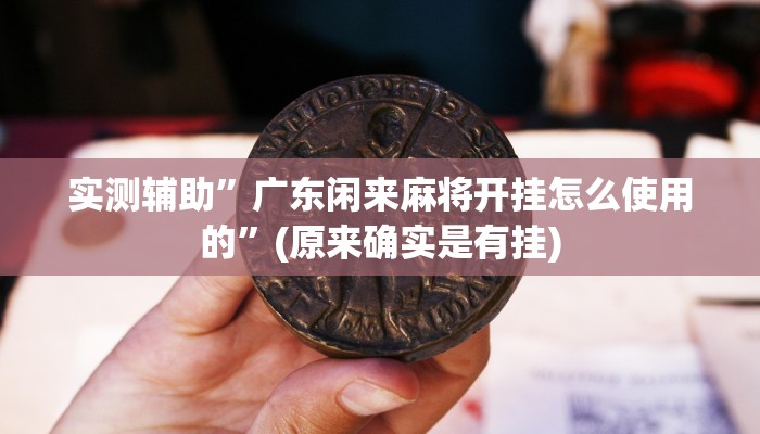 实测辅助”广东闲来麻将开挂怎么使用的”(原来确实是有挂)
