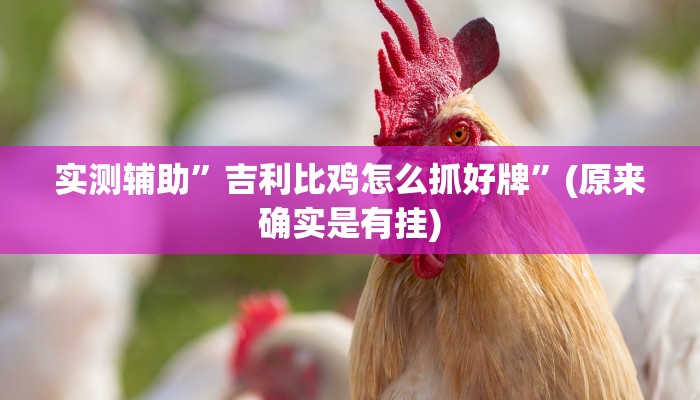 实测辅助”吉利比鸡怎么抓好牌”(原来确实是有挂)