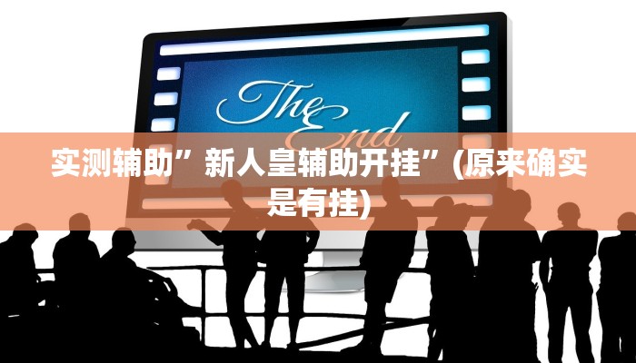 实测辅助”新人皇辅助开挂”(原来确实是有挂)
