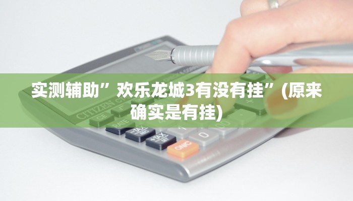 实测辅助”欢乐龙城3有没有挂”(原来确实是有挂)
