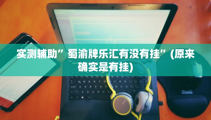 实测辅助”蜀渝牌乐汇有没有挂”(原来确实是有挂)