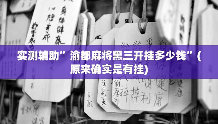 实测辅助”渝都麻将黑三开挂多少钱”(原来确实是有挂)