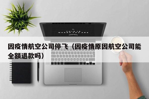 因疫情航空公司停飞（因疫情原因航空公司能全额退款吗）